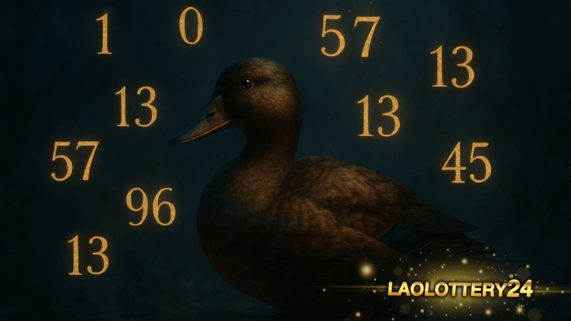 เปิดตำนาน “ทำนายฝัน ฝันเห็นเป็ด” ความหมายลึกซึ้ง พร้อมเลขเด็ด Laolottery24 จัดเต็ม!