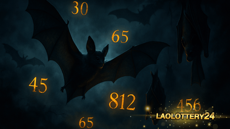 ฝันเห็นค้างคาว บอกเหตุพลิกชีวิต! ทำนายฝันทุกแบบพร้อมเลขเด็ด Laolottery24 ลุ้นเฮงข้ามคืน